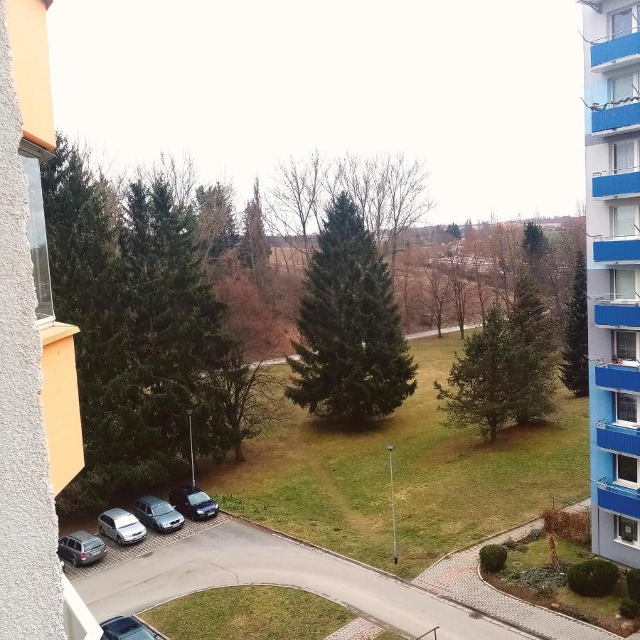 Проживання в сім'ї Bluea *